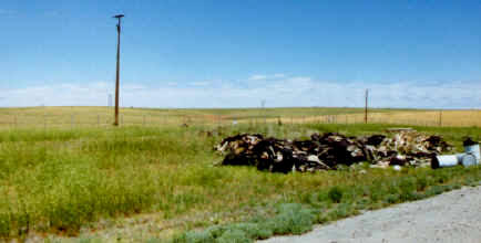 FRED4.jpg (266974 bytes)